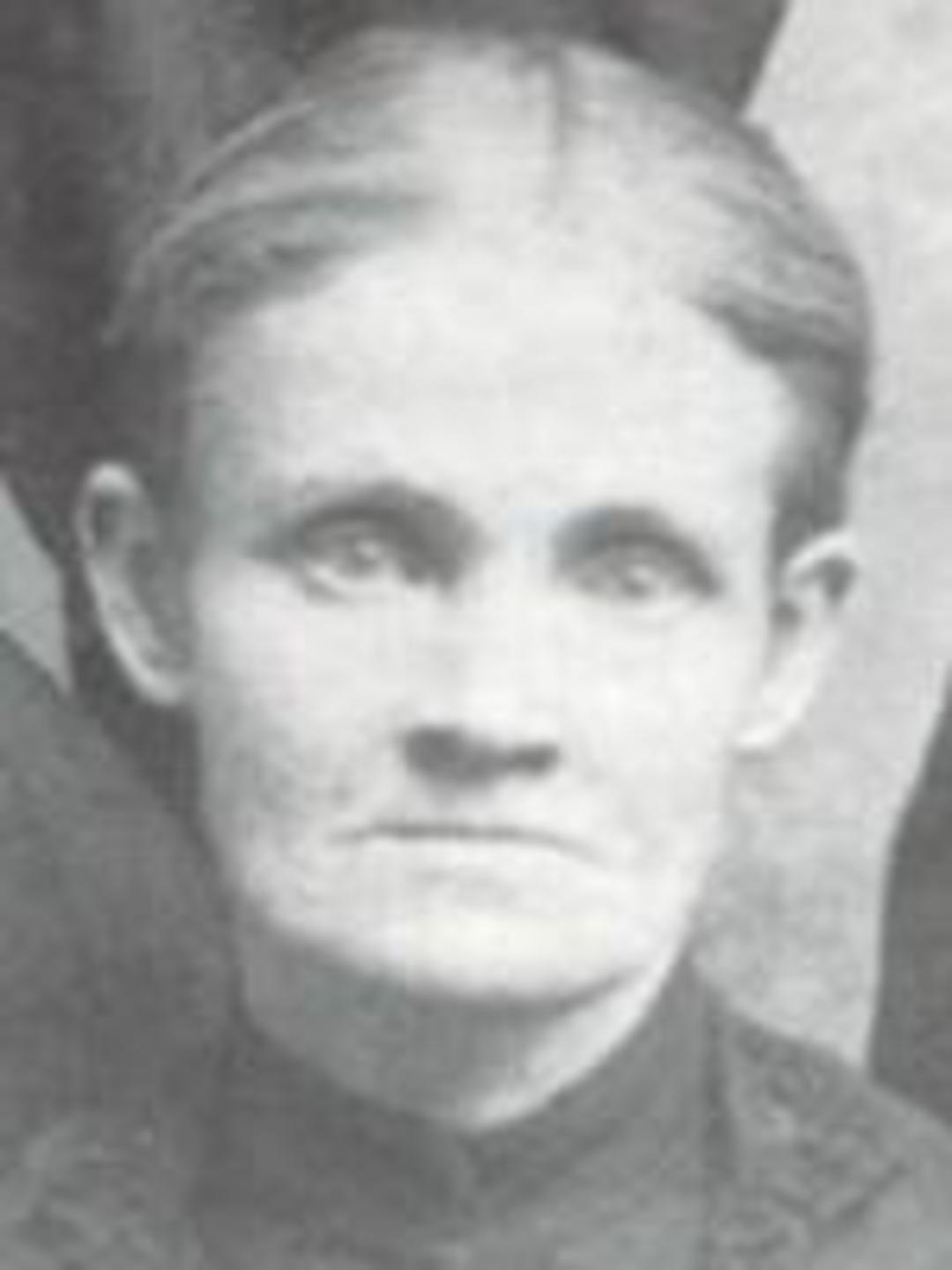 Sarah Memmott (1847 - 1921) Profile